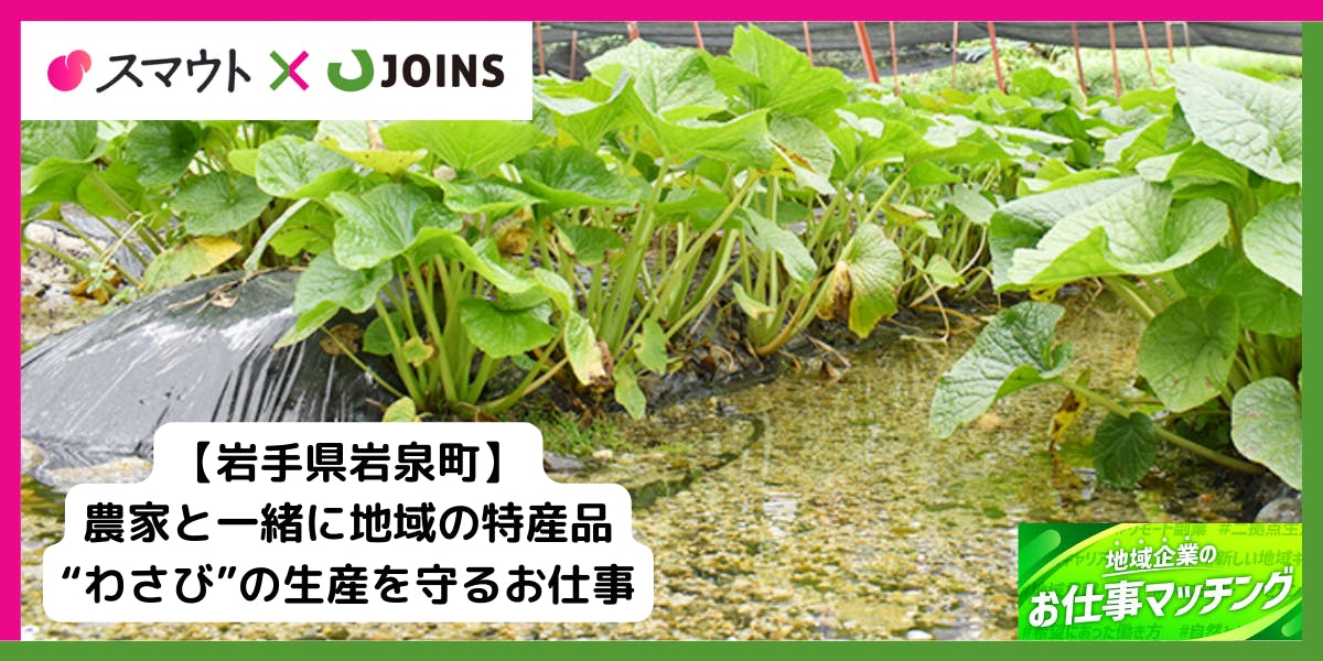 わさびの安定栽培をサポートするお仕事です。