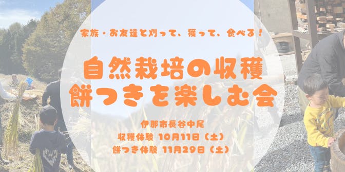 【伊那市長谷】家族、お友達と自然栽培の収穫・餅つきを楽しむ会