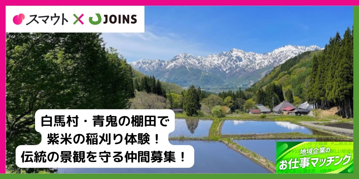 「青鬼の棚田」で紫米の稲刈り作業、参加者募集！