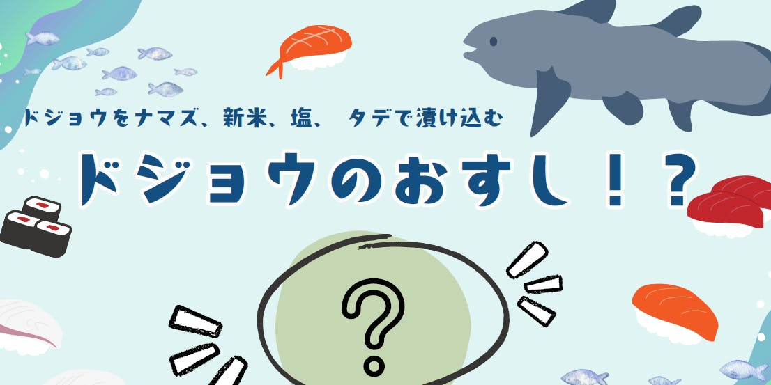 ドジョウのおすし⁉