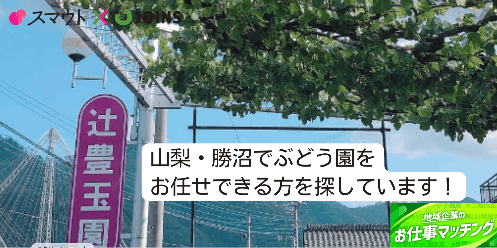 【事業承継】山梨・勝沼でぶどう農家を目指しませんか？