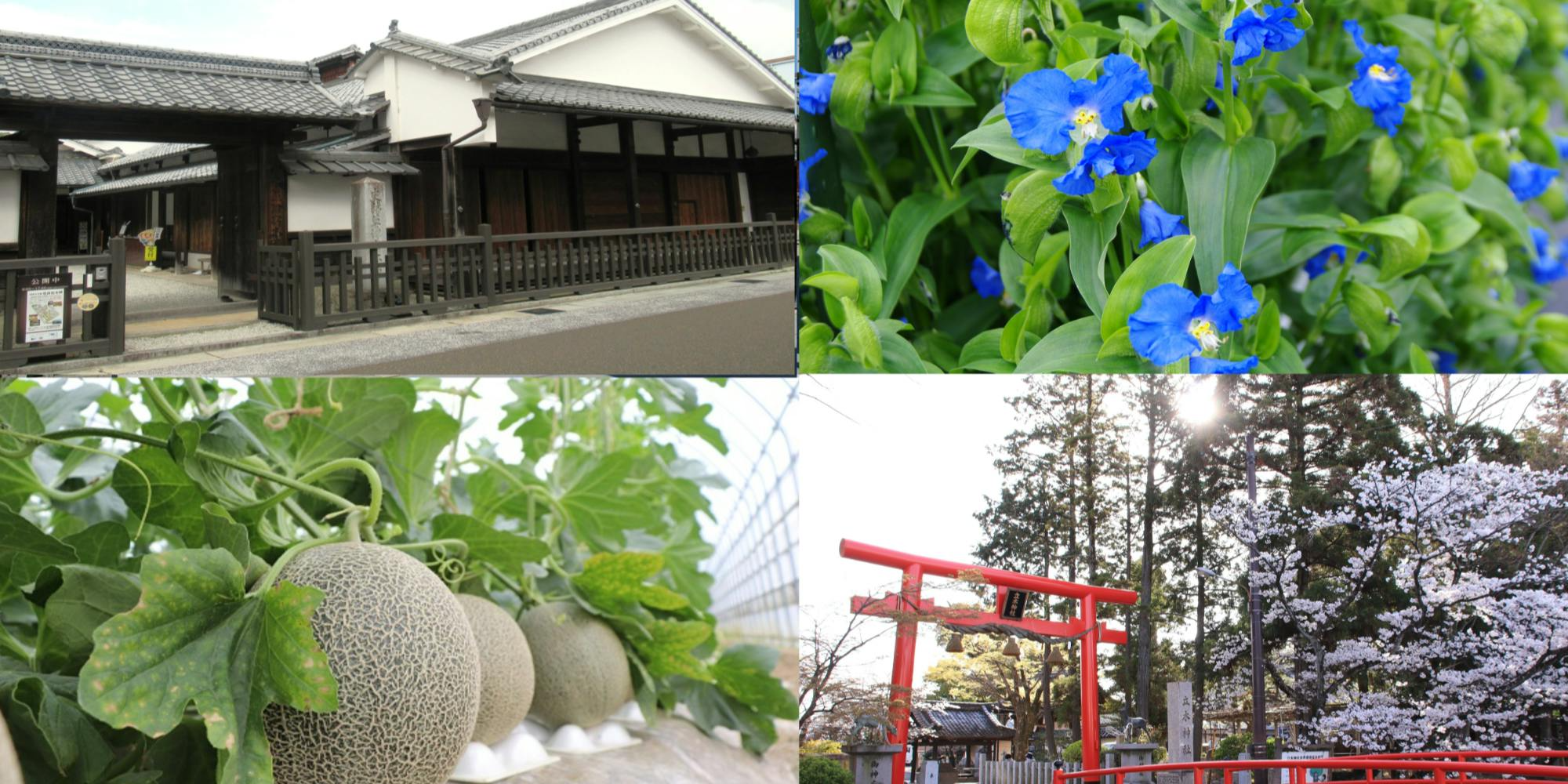 草津市は歴史や文化も魅力的！